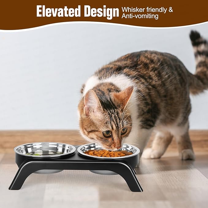 Elevated Cat Bowls - Anti-Vomiting Raised Food Bowl Set With 2 Stainless Steel Bowls, Prevents Neck Pain, ABS Anti-Slip Stand for Indoor Cats & Puppies (Black)