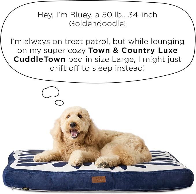 TOWN & COUNTRY LUXE CuddleTown Matisse Everwash® Pillow Pet Bed, Water Repellent Floor Pillow, Machine Washable Cover, Soft & Calming, Green, Large 44"x34"x4"