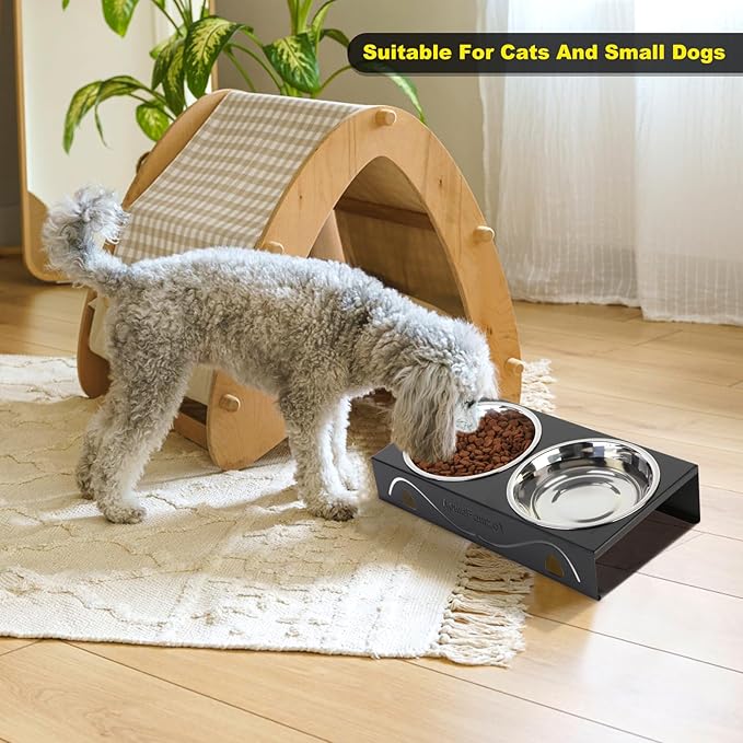 2 Pack Cat Food Bowls - Indoor Set with Metal Stand,5° Tilted Anti Vomiting Wide Raised Pet Dish,Cute Elevated Cat Feeding Station for Food Water, 4 Stainless Steel Bowls for Multiple Kitten,Puppy