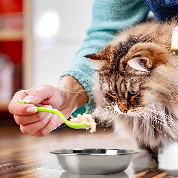 4pcs Stainless Steel Cat Bowls - 7.1 Inch Metal, Shallow Dish for Indoor Cats - Elevated Food Bowl for Kittens with Whisker Fatigue Protection