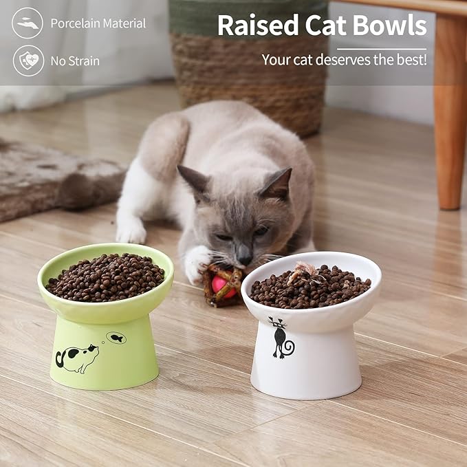 OMAYKEY Ceramic Raised Cat Bowls, Tilted Elevated Cat Food Water Bowl Set, Porcelain Stress Free Pet Feeder Dish for Cats and Small Dogs, Dishwasher and Microwave Safe - White & Fruit Green, Set of 2