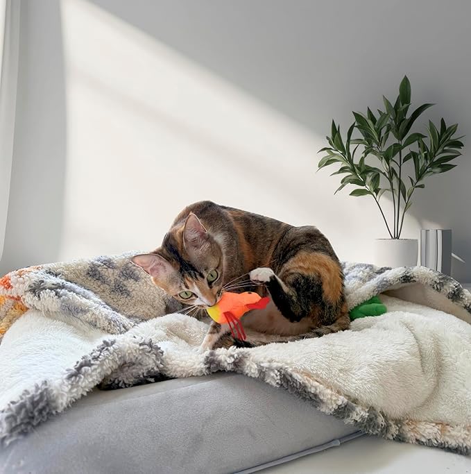 Catnip Cat Toy, 2 Pack Chicken Bird Interactive Chew Kicker Toys, cat Toys for Indoor Cats, Boredom Relief Kitten Exercise, Soft Durable for All Breed