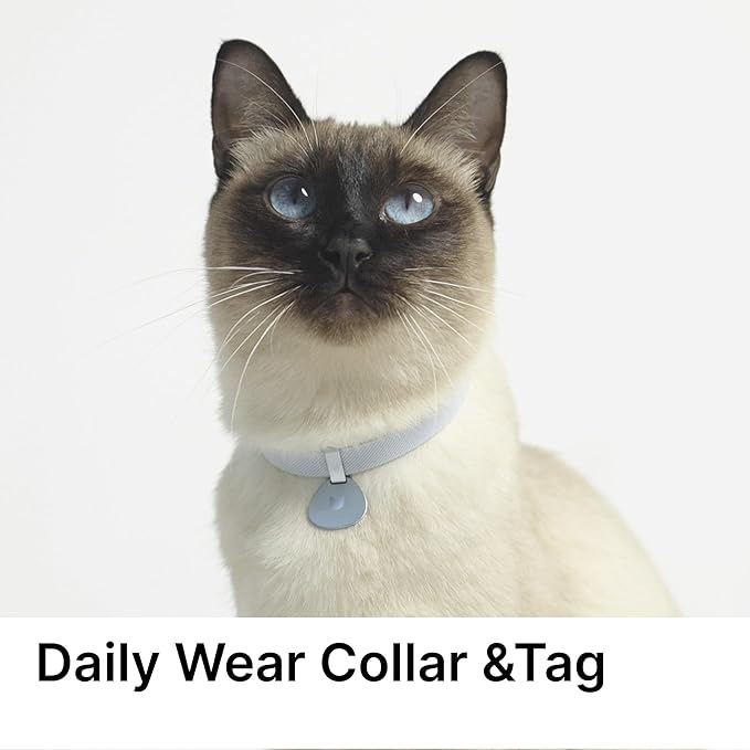 Safety Cat Collar and ID Tag Set, Elastic Quick Release Non Breakaway Collar, Personalized Aluminum Engraved Pet Name Tag, Lightweight for Kitten Small Large Cats (Midnight Black-S, Pocket)