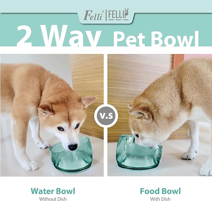 Felli Oblik Raised Dog Food Water Bowls for Small Short-Leg Dogs, Removable Stainless Steel Dish Dishwasher Safe, No Spill Tilted Metal Feeder for French Bulldog, Maine Coon Cats (1.5Cup, Classic)