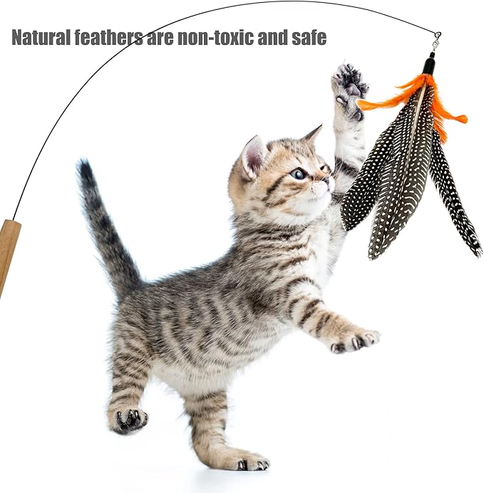 Cat Feather Toys Refill, 6 Pieces Cat Wand Attachments Da Bird Feathers Toy for Indoor Cats