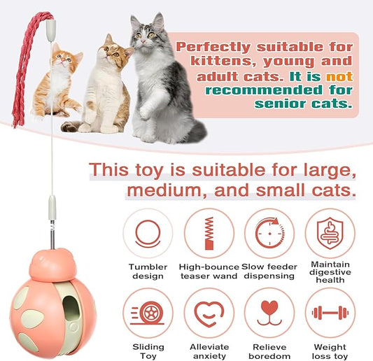 Cat Treat Interactive Toy, Indoor Puzzle Slow Feeding Mental Stimulation Sliding Rolling Cat Toy Ball with Ca-t Teaser, Cats Treat Dispenser Toy for Large, Medium and Small Cats (Pink, ladybug)