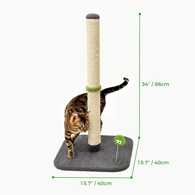 TINYBEAST 34" Tall Cat Scratching Post for Indoor Cats, Premium Natural Sisal Scratcher with Interactive Plush Toy Ball, Reinforced Stable Base for Large Adult Cats & Kittens(Grey)