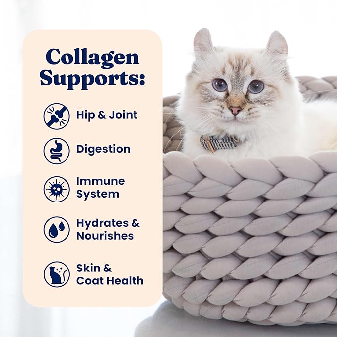 Solid Gold Bone Broth Cat Food Topper - Limited Ingredient Lickable Cat Broth Pouches w/Salmon Protein Shreds & Collagen for Hydration & Gut Support - Easy to Serve Gravy for Cats Meal Topper - 12ct