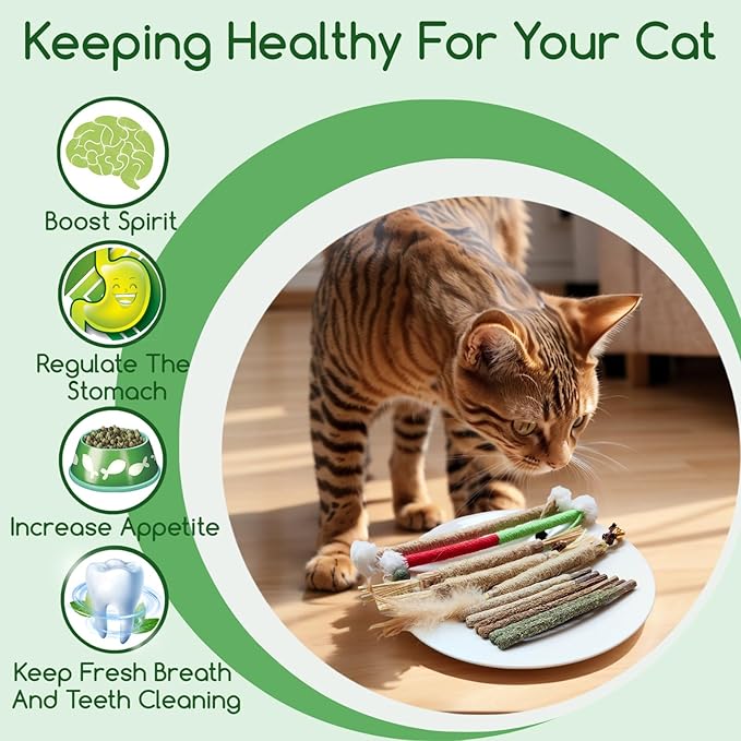 Cat Dental Chew Toys - Natural Silvervine Sticks & Catnip Rope for Teeth Cleaning,Promotes Oral Health in Kittens & Indoor Cats (Medium, Model A)
