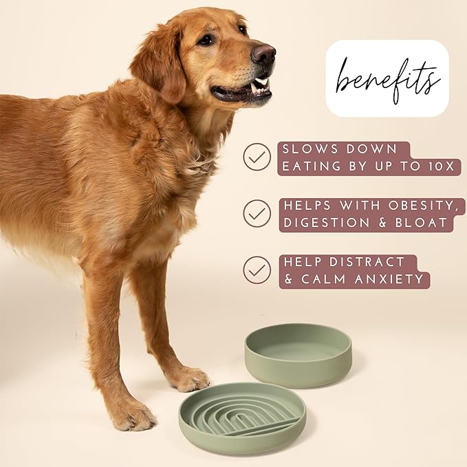 The Slowdown Bowl Silicone Slow Feeder for Dogs & Puppies, Slow Eating Modern Lick Mat Design Reduces Gulping, Fits 2.5 Cups 9.5” Across x 1.5” Tall, Mealtime Challenge, Large-Charcoal