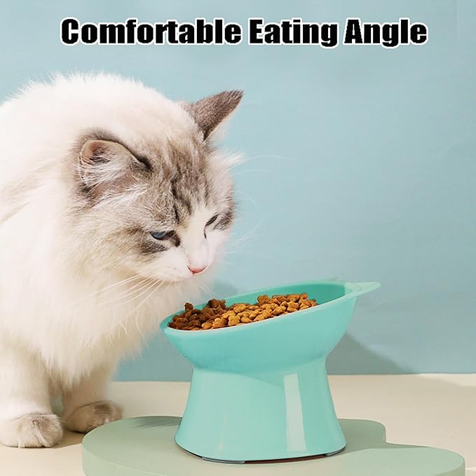 GKYZBB Elevated Cat Bowls, 15° Tilted Raised Cat Food Bowl Anti-Vomiting,Dog Kitten Food Dishes Pet for Cats and Small Dogs (Green)