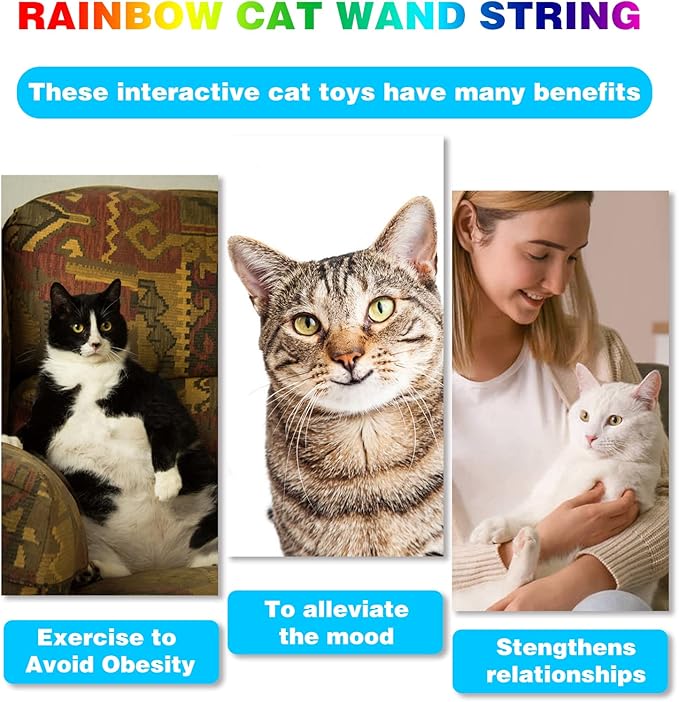 Cat Wand Toys Interactive Kitten Toys for Indoor Cats Colorful Teaser Wand String for Exercise Kitten Stick Kitty Rope Toy Rainbow Ribbon Cat Charmer -2Pcs