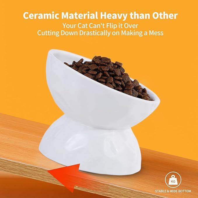 AOMRYOM Ceramic Tilted Raised Cat Food and Water Bowl Set, Elevated Stress Free Feeding Pet Bowl Dish for Cats and Small Dogs, Protect Cat's Spine, White & Pink, Set of 2