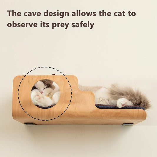 Cat Wall Shelves, Creative Design Cat Shelf with Peephole, 19 x 10 inch Cats Wall Furniture with Comfortable Pad, Cats Perch for Sleeping, Playing, and Scratching.