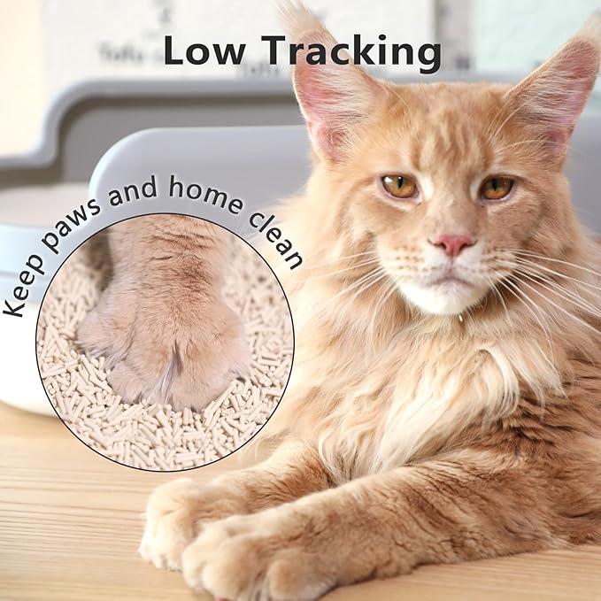 Tofu Cat Litter - Strong Clumping, Ultra Absorbent, Odor Control, Flushable, Low Tracking, Low Dust Tofu Litter Pellets 2 Packs/12LB (Original Flavor)