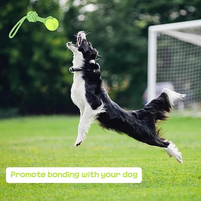 Dog Rope Toy for Medium and Small Dogs Interactive Puppy Toys Tug of War Rope Tether Tug Outdoor Dog Toy 1 Knot Puppy Teething Chew Cotton with Tennis Ball