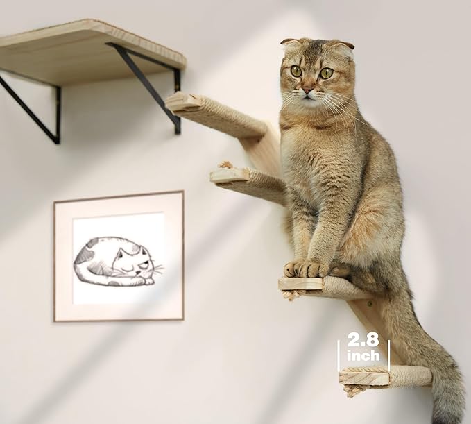 Cat Climbing Stair Shelf Wall Mounted Reversible Left & Right Direction, Cat Stairway Shelf for Climbing with Sisal Rope Ladder Wall Furniture