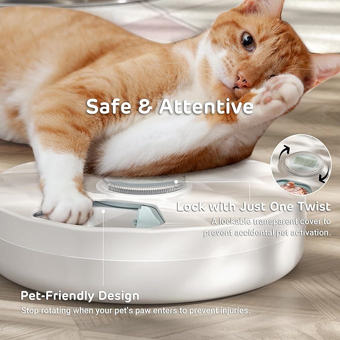 [Stainless Steel Food Tray] Brioche Automatic Wet Food Feeder for Pets - True 6-Meal Cordless Fresh Can Dispenser with Two Ice Packs, Perfect for Newborn Senior Sick Cats and Small Dogs