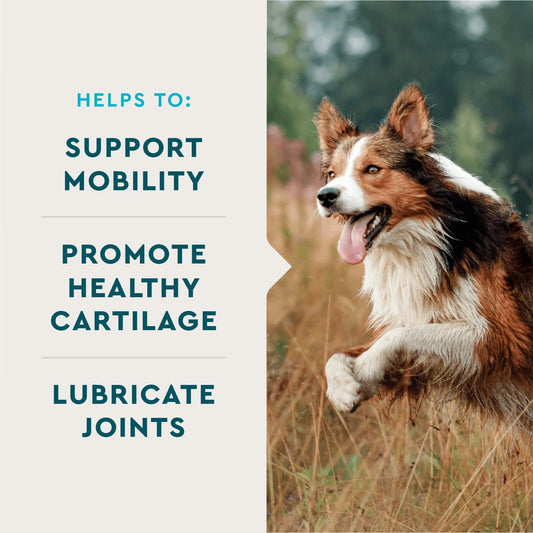 VetIQ Hip & Joint Health Supplement for Dogs, with Glucosamine, Chondroitin & MSM, Chewable Tablets for Dogs, Chicken Flavor, 60 Count