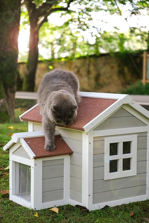 Feral Cat House for Outdoor Cat Enclosure Winter Double Rooms Weatherproof with Openable Roof