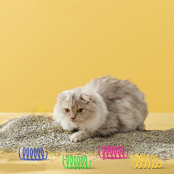 Cat Spring Toys 80 Pack, Colorful Plastic Coils Cat Kitten Spiral Spring Interactive Cat Toy for Swatting, Biting, Hunting