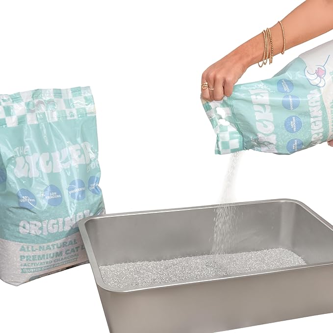 CLR2000B-SET3 Unscented Premium Clumping Bentonite Clay Cat Litter w/Activated Charcoal, Natural Odor Control, 99% Dust-Free, 9.37 LBS (Set of 3)