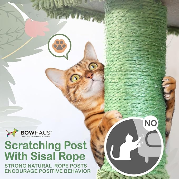 CAPHAUS Cactus Cat Tower for Indoor Cats, Cute 37-Inch Small Cactus Cat Tree w/Widened Perch for Large Cats & Kittens, Multi-Level Cat Activity Tree w/Scratching Posts & Ramp, 2-Door Cat Cave Condo