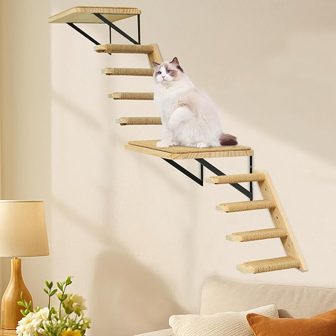 Wall Mounted 2 Pack Cat Shelf with 2 Pieces Four Steps Climber Stairs - Modern Cat Wall Furniture for Climbing, Lounging, and Playing - Perfect Hammock for Indoor Cats or Kitty