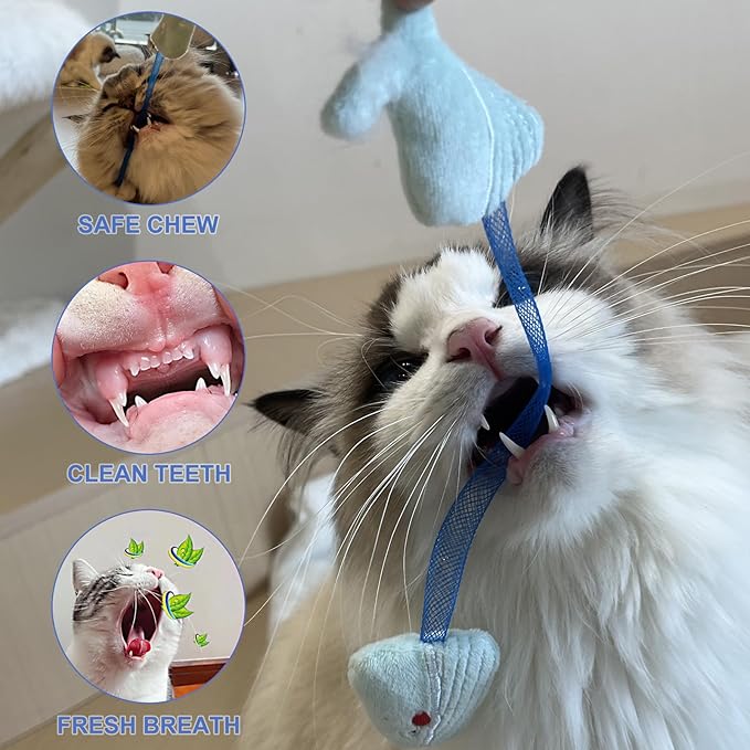 Cat Chew Toy for Teeth Cleaning, Soft and Durable Crinkle Springs Catnip Toys, Interactive Cat Kicker Toys for Indoor (Pack 10)