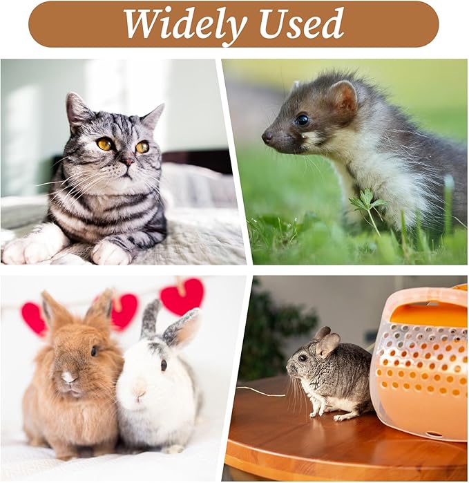 16Pcs Stainless Steel Cat Bowls 6.7Inch Shallow Cats Food Dish Cat Wet Food Bowl Whisker Friendly Cats Bowl for Kitten and Small Pets