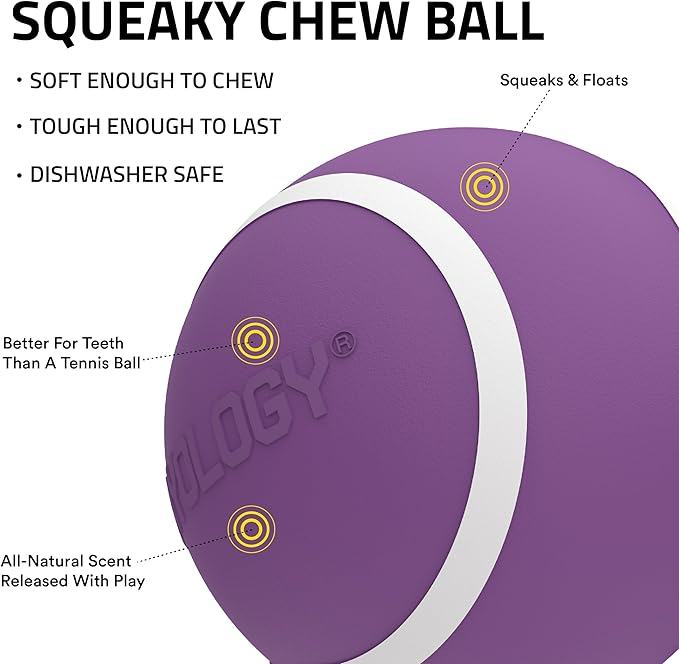 Playology Dog Toys | Squeaky Chew Ball - Squeaky and Bouncy Durable Floating Fetch Ball for Dogs | Jumbo Chicken Scented Toy - Easy to Clean and Made from Non Toxic Materials