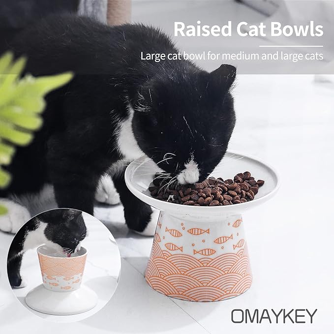 OMAYKEY 6.25 Inch Extra Wide Ceramic Raised Cat Bowls, Upgraded Elevated Porcelain Cat Food Water Bowl Dish, Stress Free Pet Feeder Bowls Dishes for Elder Big Cats & Small Dogs, Green & Orange