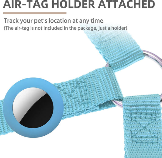 PUPTECK No Pull Dog Harness Soft Adjustable Basic Nylon Step in Puppy Vest Outdoor Walking with ID Tag and A-ir Tag Case, Sky Blue, L