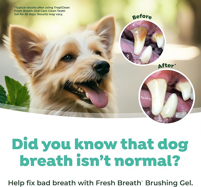 TropiClean Oral Care Brushing Gel for Dogs & Cats| Dog Toothpaste | Pet Dental Gel | Dog Teeth Cleaning Use with Pet Toothbrush | 2 oz