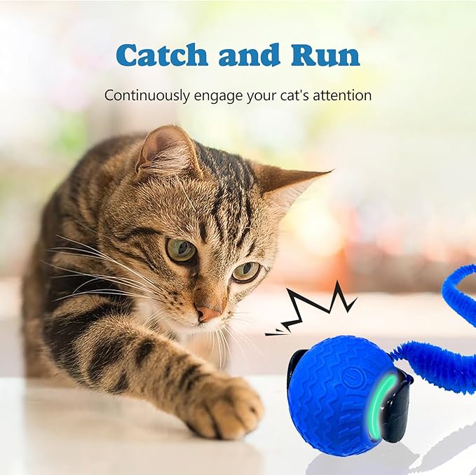 Interactive Cat Ball Toy, Upgraded Automatic Rolling Cat Ball with Tail 2.0 and Type C Cord, Touch Activated Moving Toy for Cats and Dogs (Blue)