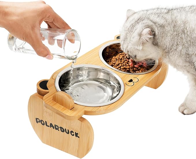 Tilted Elevated Cat Food Bowls Set: Raised Pet Dishes for Cats & Puppy with 15°Tilted Bamboo Stand, Stainless Steel Food & Water Bowl and Pet Feeding Mat | Anti Vomiting (2 Bowls | Red Panda)