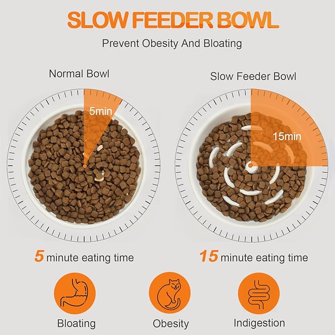 Raised Slow Feeder Cat Bowl, 5.9 Inch Wide Shallow Ceramic Elevated Glass Food Bowl Puzzle Feeders, Anti Vomit Cat Dish, Whisker Friendly Pet Plates Feeding Station for Indoor Cats, Kitten(2 Set)