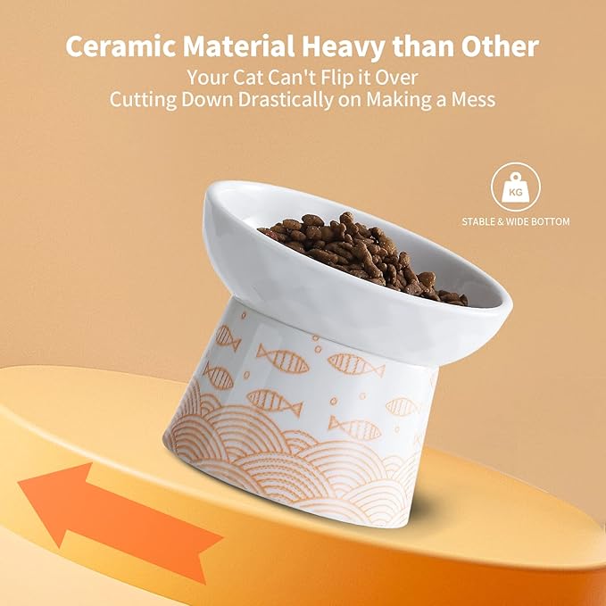 OMAYKEY Ceramic Raised Cat Bowls, Elevated Tilted Cat Food and Water Bowls Set, Porcelain Stress Free Pet Feeder Dish for Kitty Cats and Small Dogs, Dishwasher and Microwave Safe, Set of 2