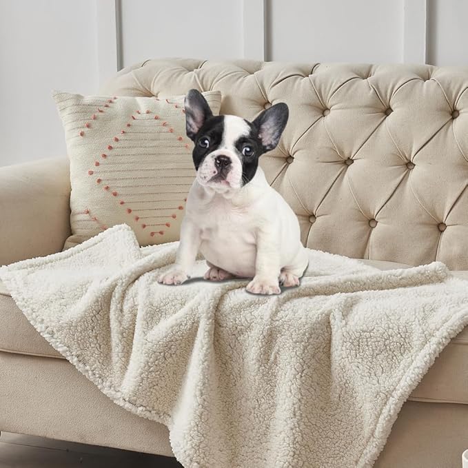 Qeils Dog Blankets for Small Dogs - Waterproof Pet Blanket Washable - Sherpa Fleece Puppy Blanket, Soft Plush Reversible Dog Blanket for Bed Couch Car Sofa, 40"X50", Grey Paw Print