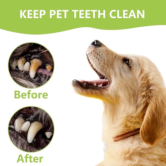 Dental Tools Pet Dog Teeth Cleaner Tool Kit, Stainless Steel Plaque Remover Dental Picks Tooth Tartar Scraper, Pets Oral Care Hygiene Set for Cats and Dogs Use with Case