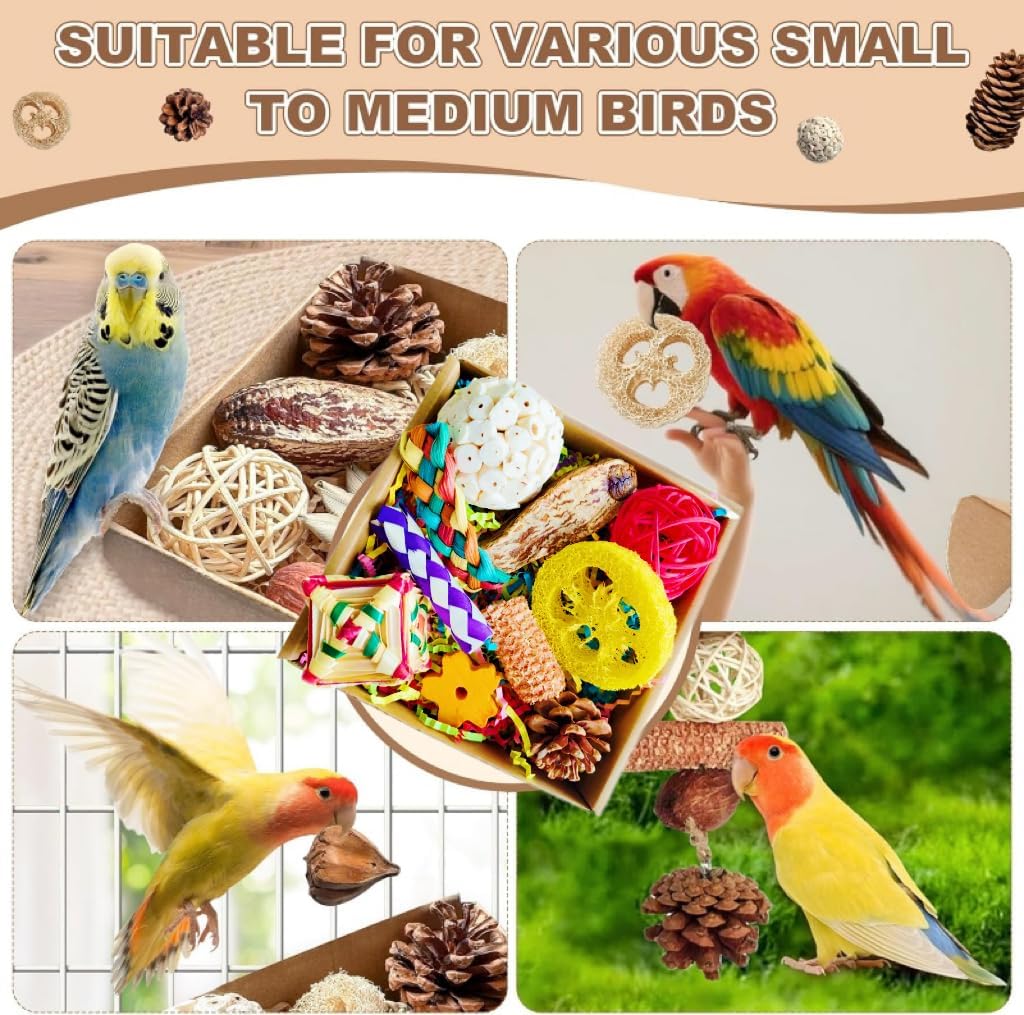 Parakeet Toys, Bird Toy Conure Grass Mat Budgie Shredder Hanging Set Cockatiel Foraging Toys Parrot Climbing Wall Toy Lovebird Cage Accessories for Small Birds (Colorful-Cockatiels Box Toys)