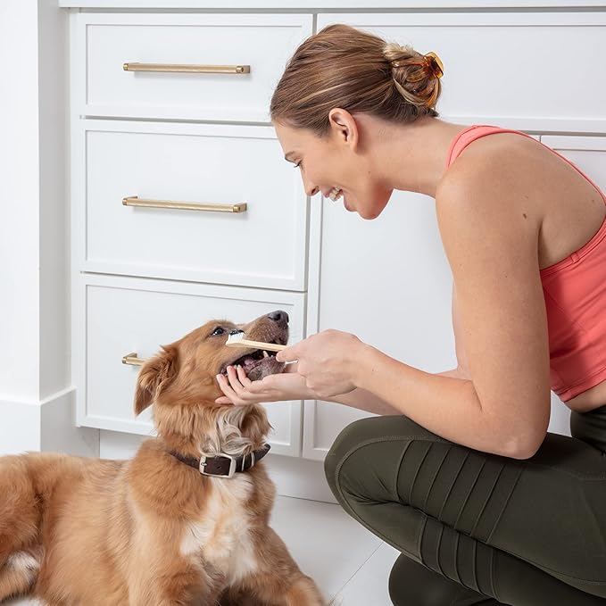 Dog Toothbrush I 4-Pack Two Sided Bamboo Toothbrush for Small and Large Dogs & Cats I Soft Bristles Gentle for Easy Dog Teeth Brushing & Dental Care