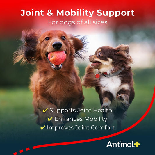 Plus, Mobility, Hip, and Joint Supplement for Dogs, Green-Lipped Mussels and Krill Oil - Dog Joint Supplement, Better and Faster Than Glucosamine and Chondroitin, 150 Soft Gels