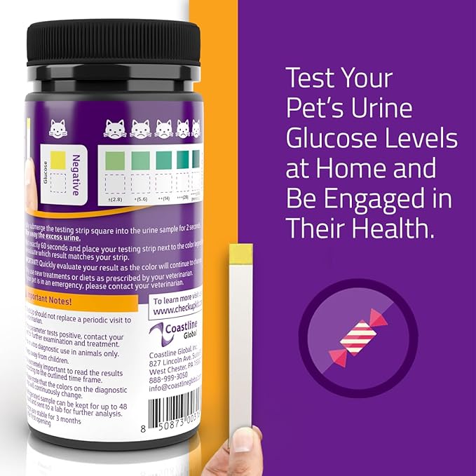 CheckUp Glucose Urine Testing Strips for Cats and Dogs - Detection of Glucose Levels x 50