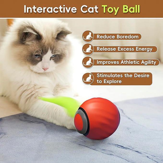 Speedy Tail Cat Toy 2.0, Interactive Cat Ball Toy for Bored Indoor Cats, Automatic Moving Pet Play Ball, Two Speed Adjustment with Replacement Tail
