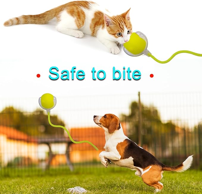 Interactive Cat Dog Toy Ball: Indoor Small Automatic Moving Smart Rolling Fun Pet Game with Led Light and String Tail for Motion Activated, Cute Kitten Puppy Present, Exercise Wheel Supplies (Yellow)