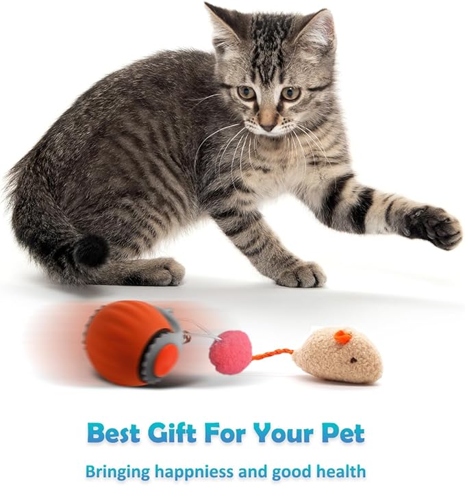 Interactive Cat Toy Ball | Automatic Moving, Mouse Tail Design and Mouse-Shaped Pendant | Rechargeable 3-Mode Rolling Toy for Indoor Kittens & Adult Cats
