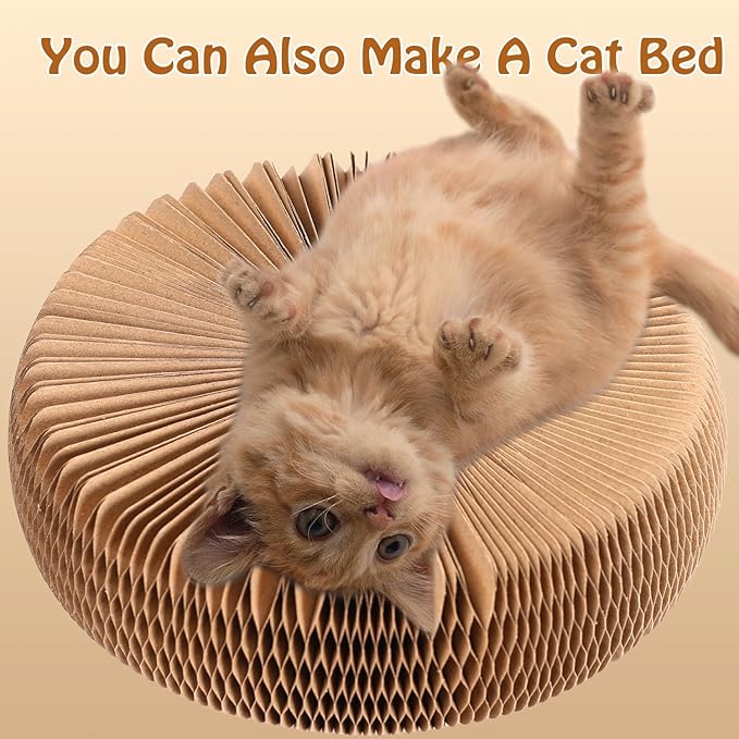 Double-Layer Cat Track Ball Toy, Cat Ball Adventure The Ultimate Interactive Mental Physical Exercise for Indoor Cats Toy