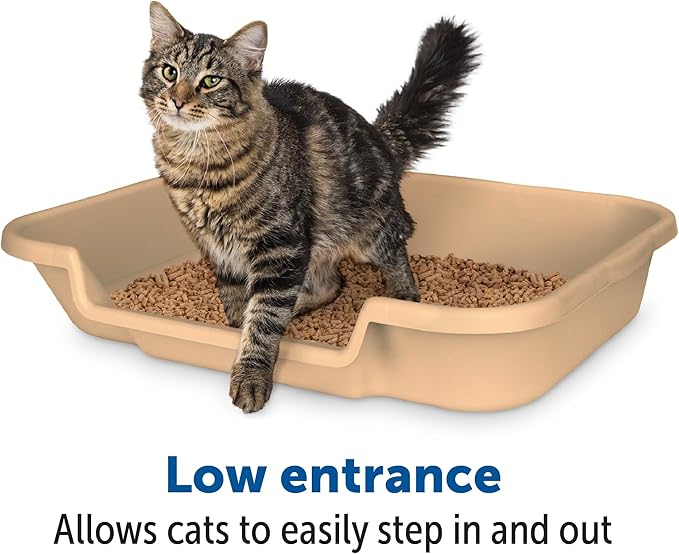 KittyGoHere Senior Cat Litter Box 2 Pack, Large Beach Sand Low Entrance Kitty Litter Box, Sized for Cats Comfort, Perfect for Senior and Arthritic Cats, Made in USA – Includes Long-Handle Jumbo Scoop