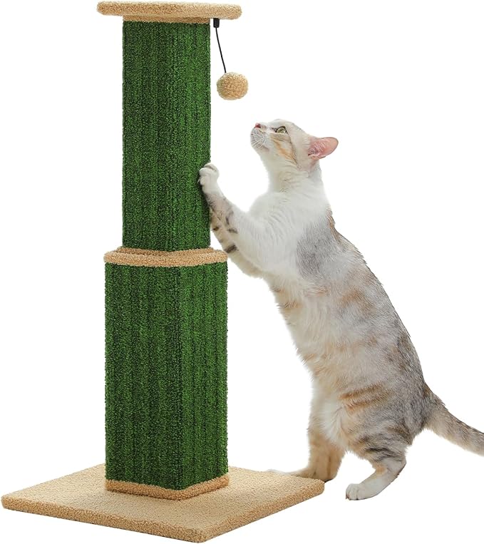 PAWZ Road Carpet Cat Scratching Post 32” Tall Scratching Post for Indoor Cats Adults Ultimate Scratch Post with Carpet, Large Base and Removable Dangling Ball- Green